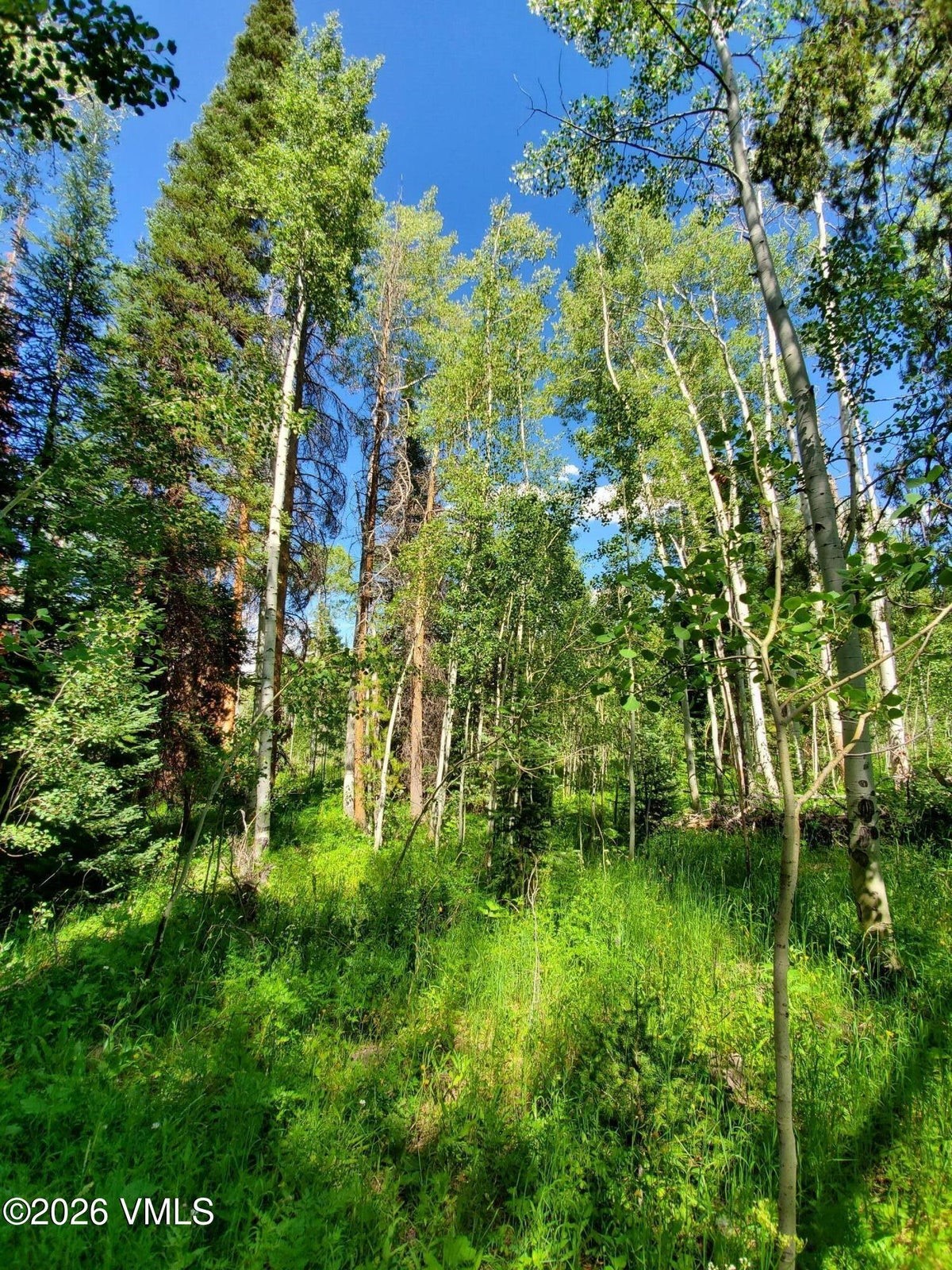 20381 King Bolt Trail Property Photo 2
