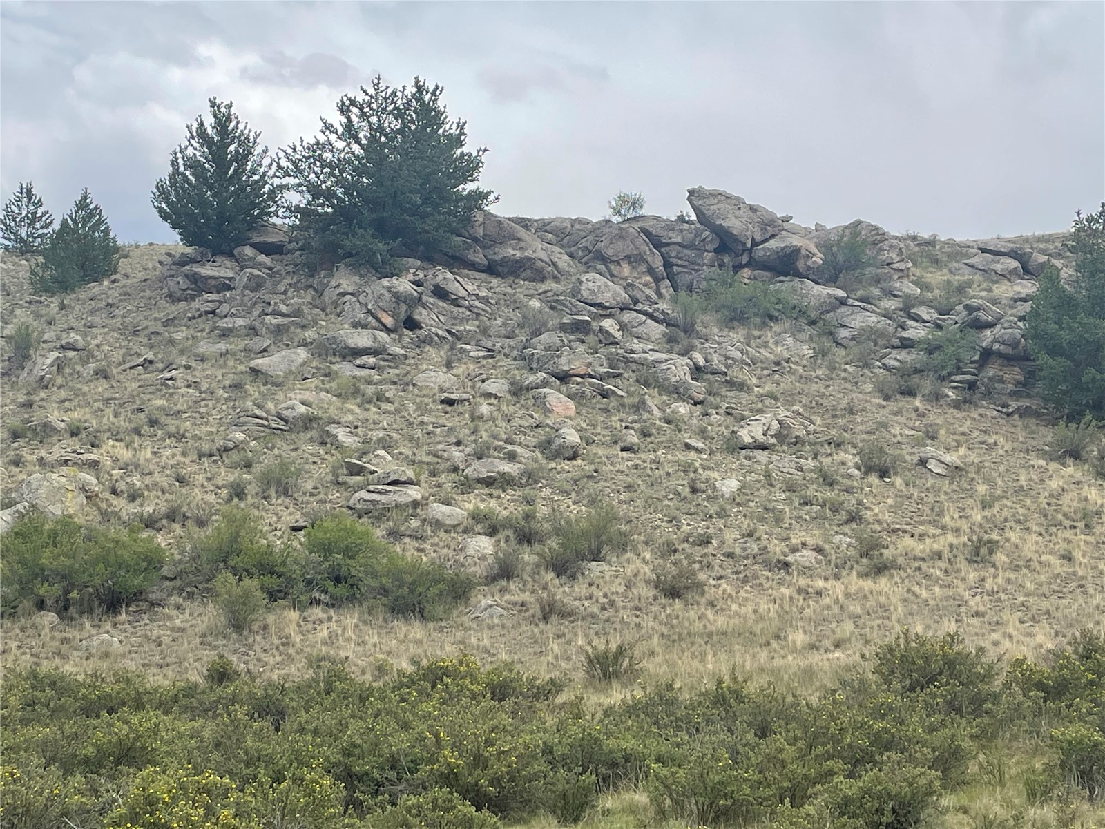 924 Mustang ROAD Property Photo 1