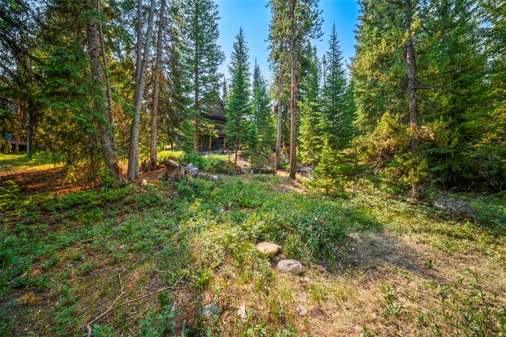 43 Ski Trail Circle Property Photo 34