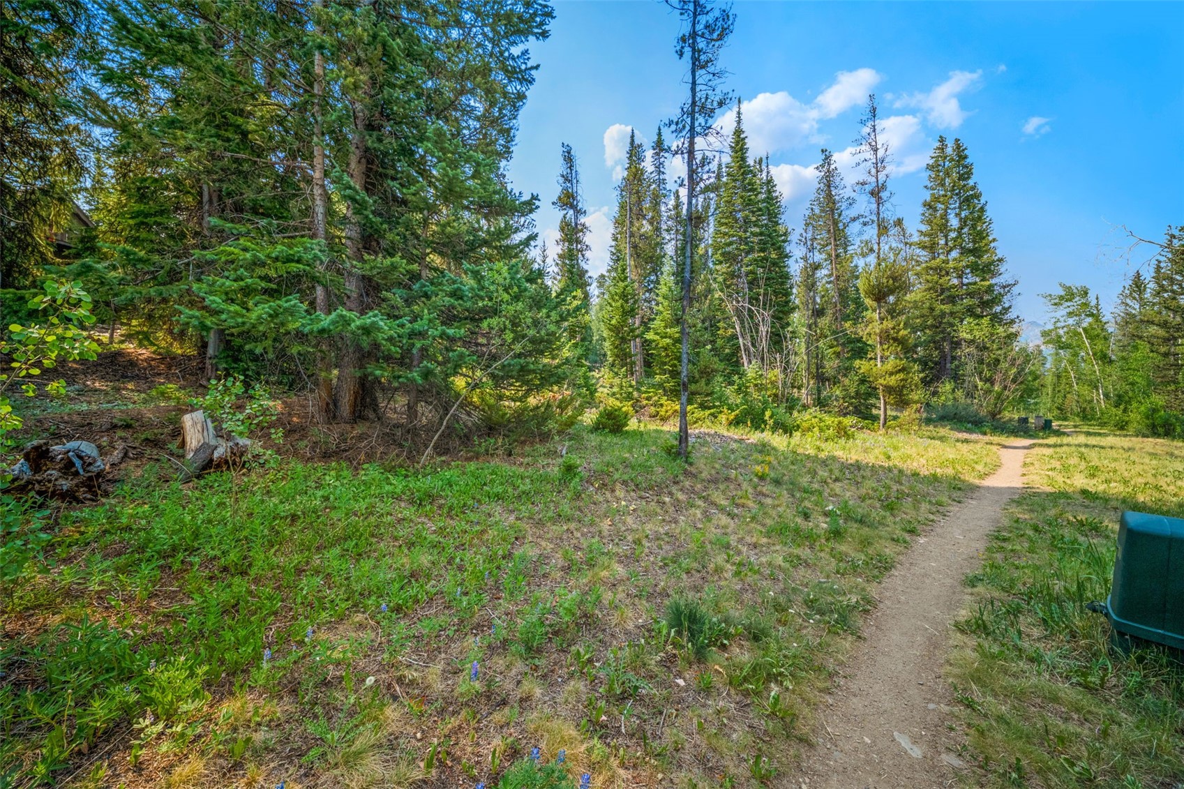 43 Ski Trail Circle Property Photo 35