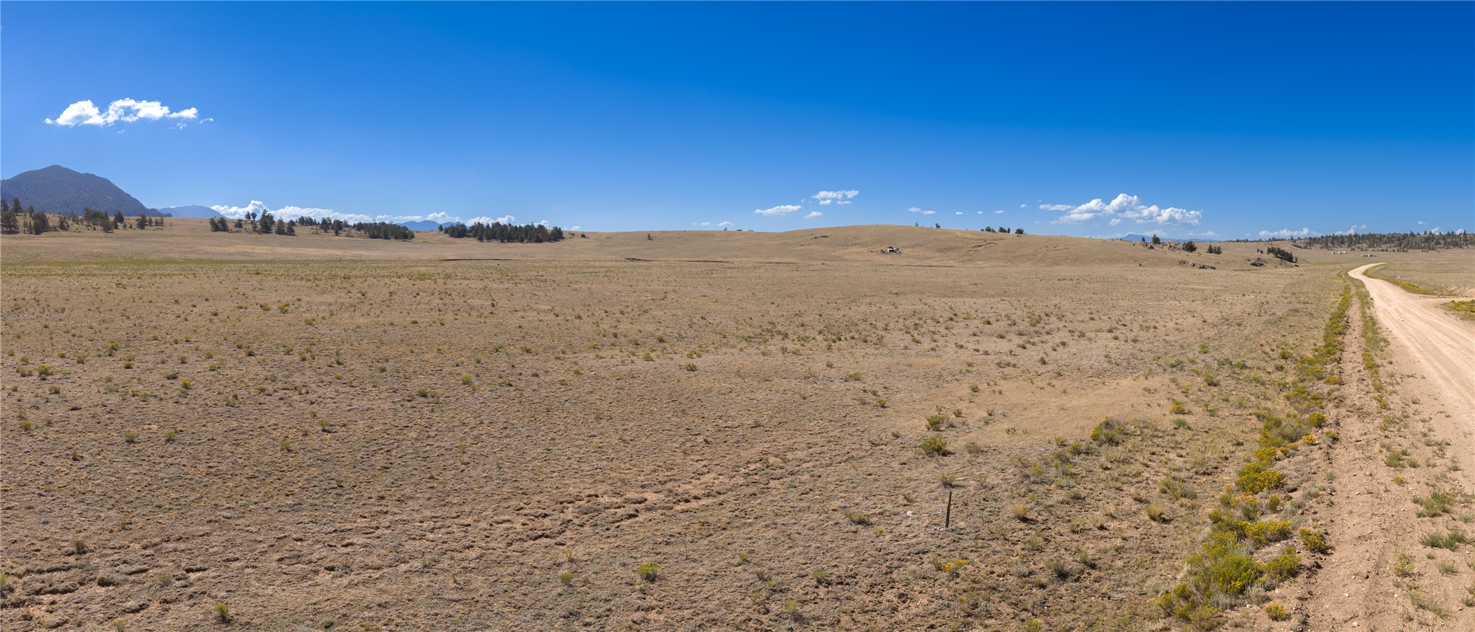 936 Ute Trace Property Photo 4