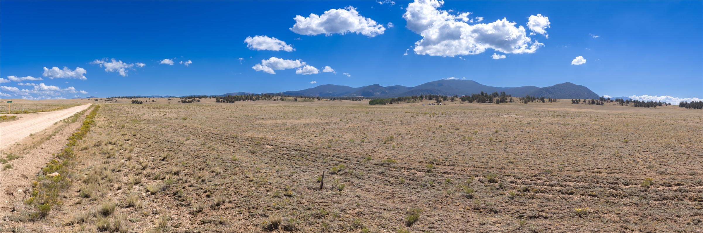 936 Ute Trace Property Photo 9