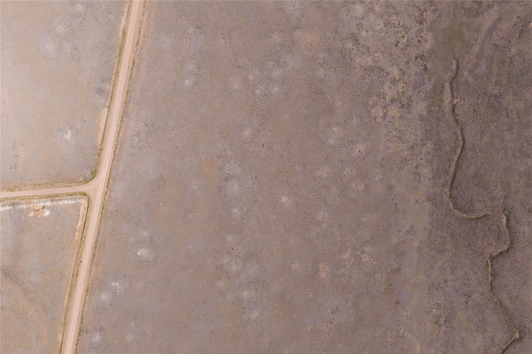 936 Ute Trace Property Photo 14