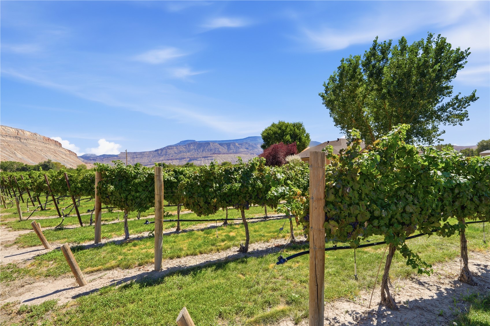 759 36 3/10 Road Property Photo 48