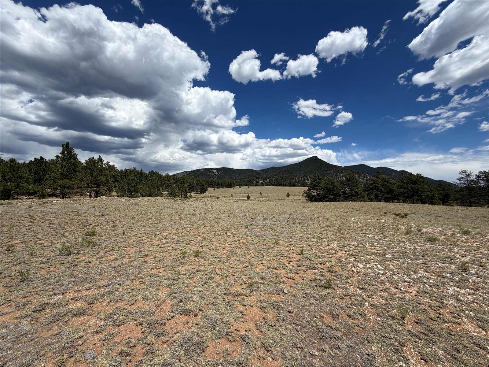 11840 Clear Creek Road Property Photo 1