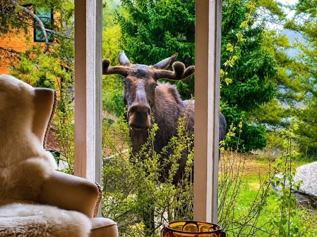 23 Wild Irishman Lane Property Photo 13