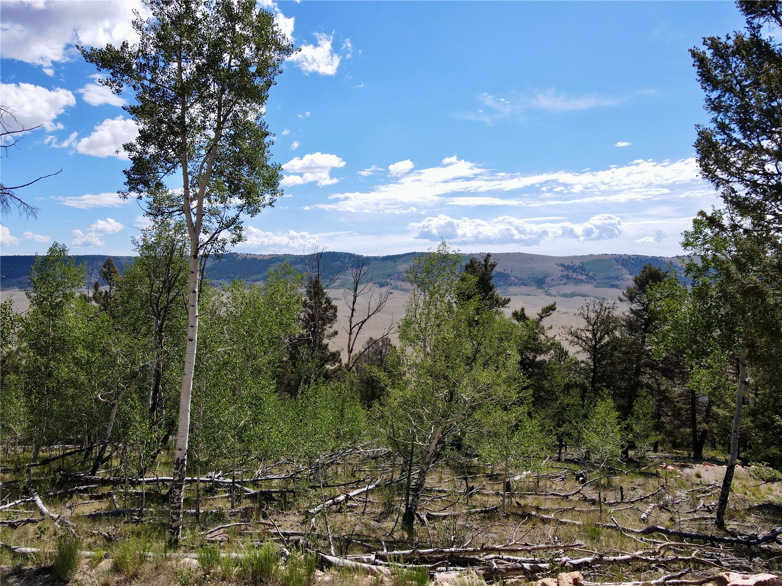 5410 Middle Fork Property Photo 2