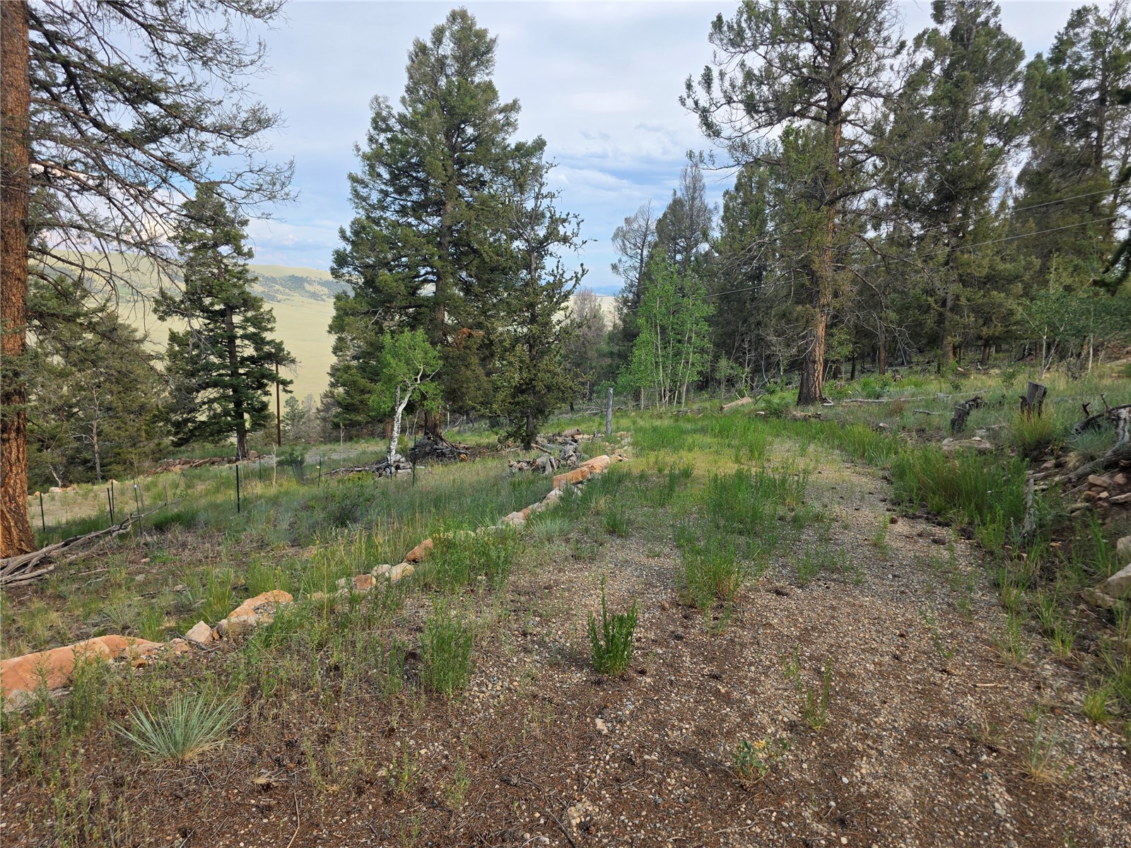 5410 Middle Fork Property Photo 6
