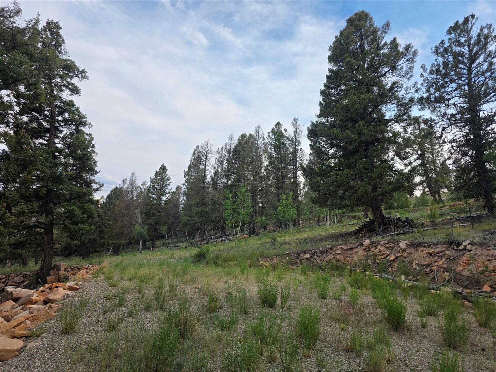 5410 Middle Fork Property Photo 10