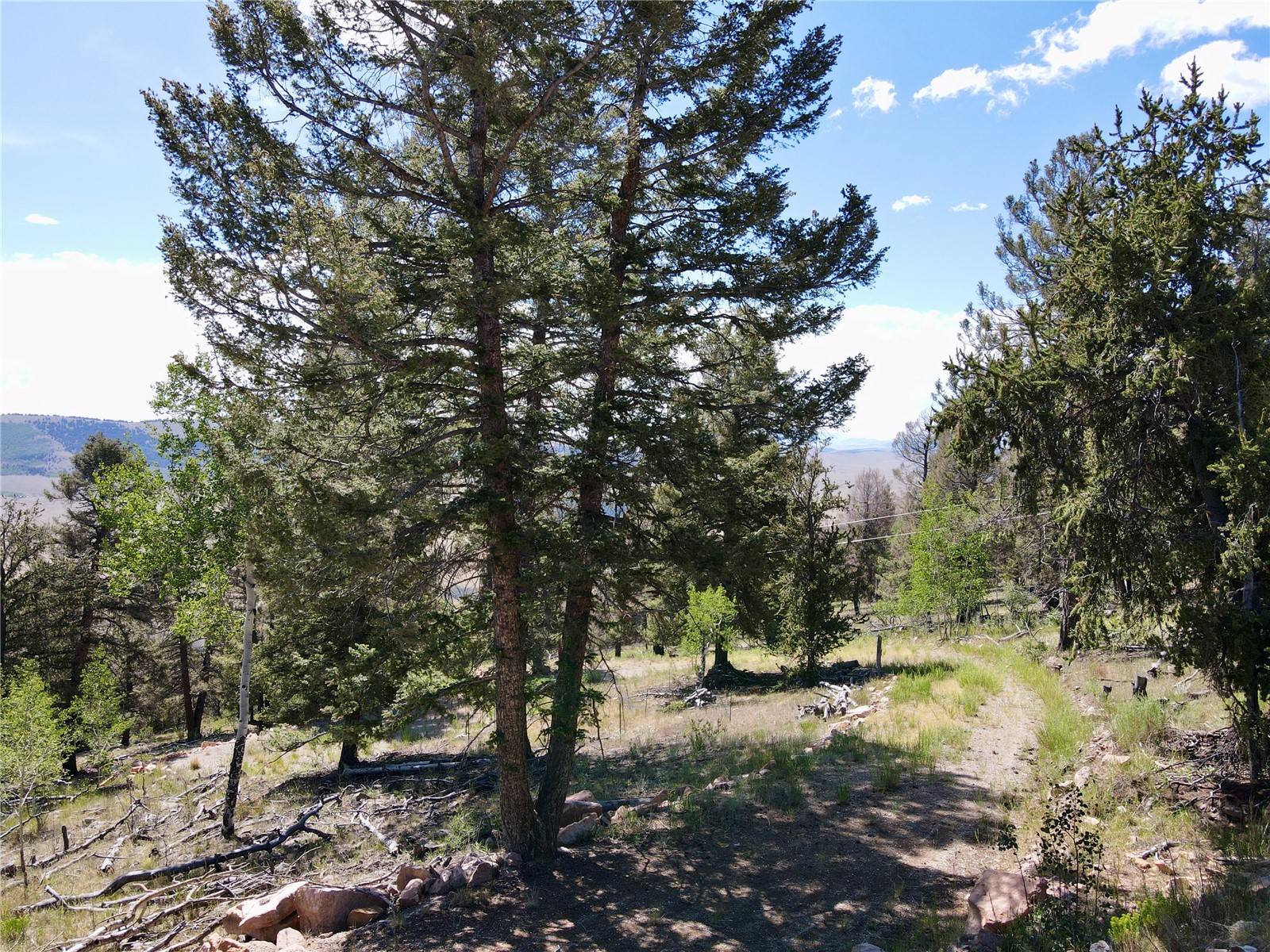 5410 Middle Fork Property Photo 11