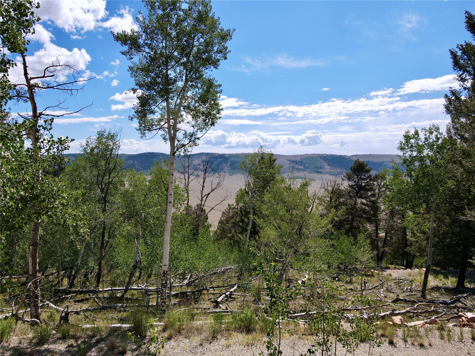 5410 Middle Fork Property Photo 12