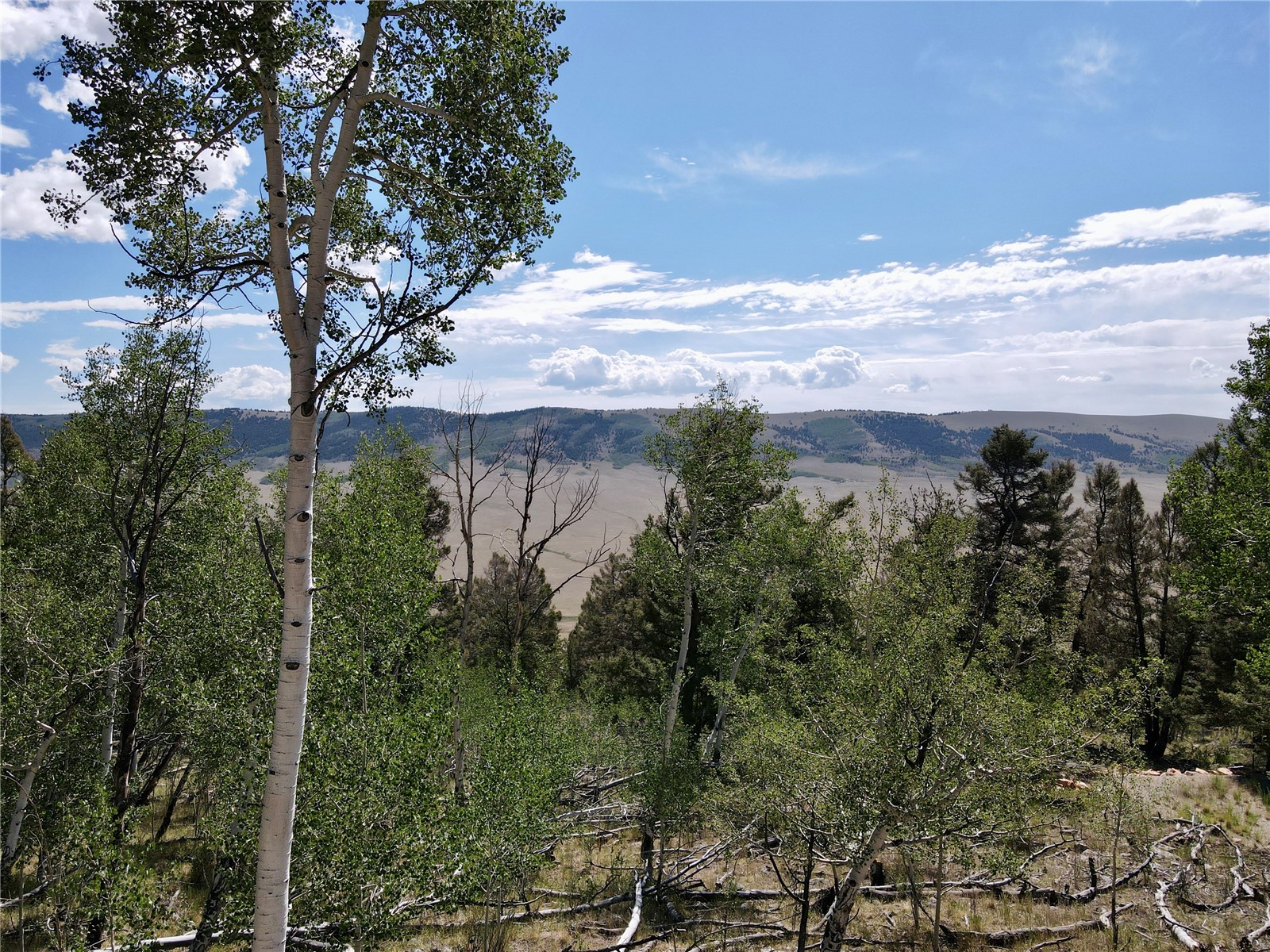 5410 Middle Fork Property Photo 13