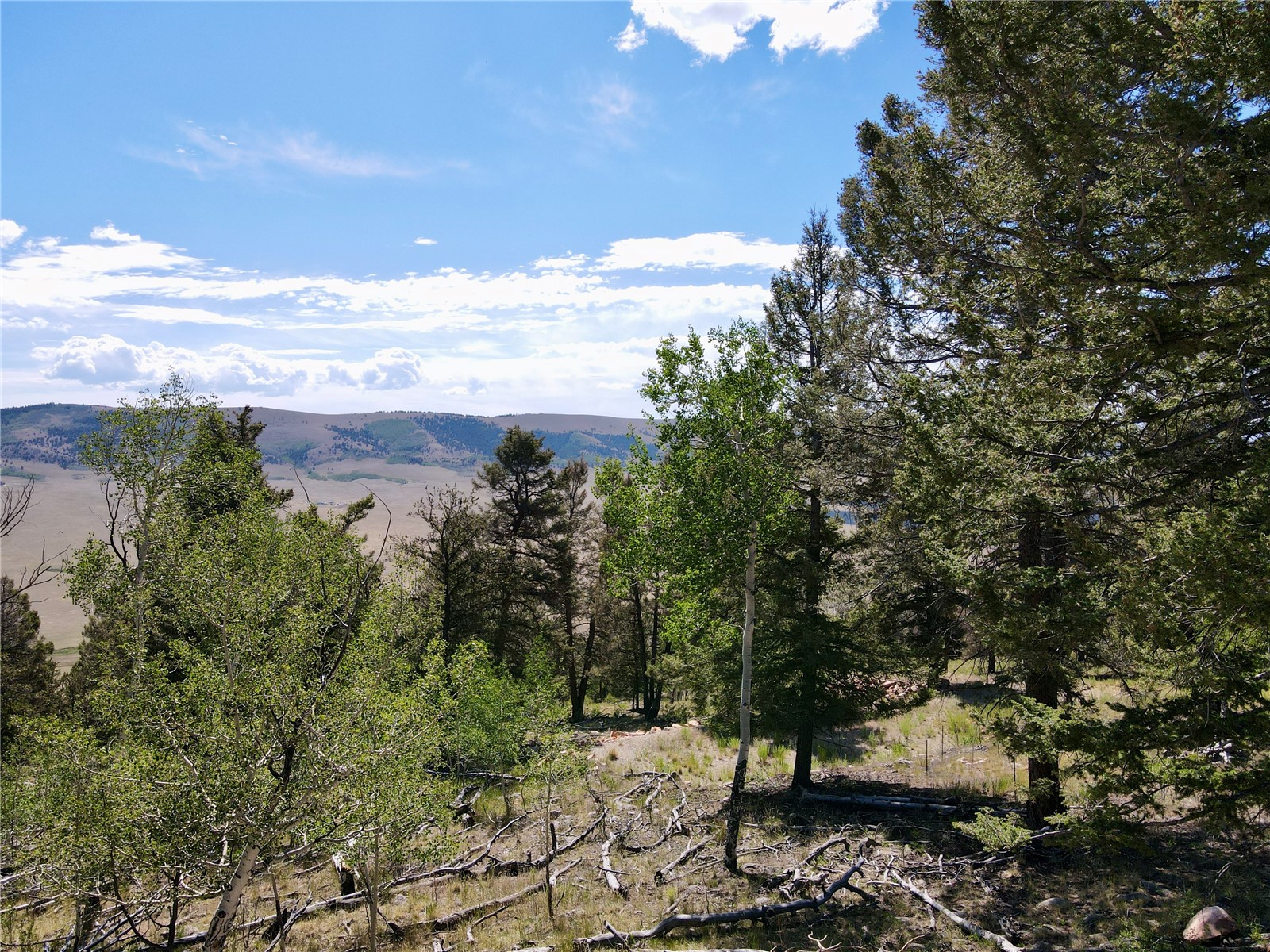 5410 Middle Fork Property Photo 14