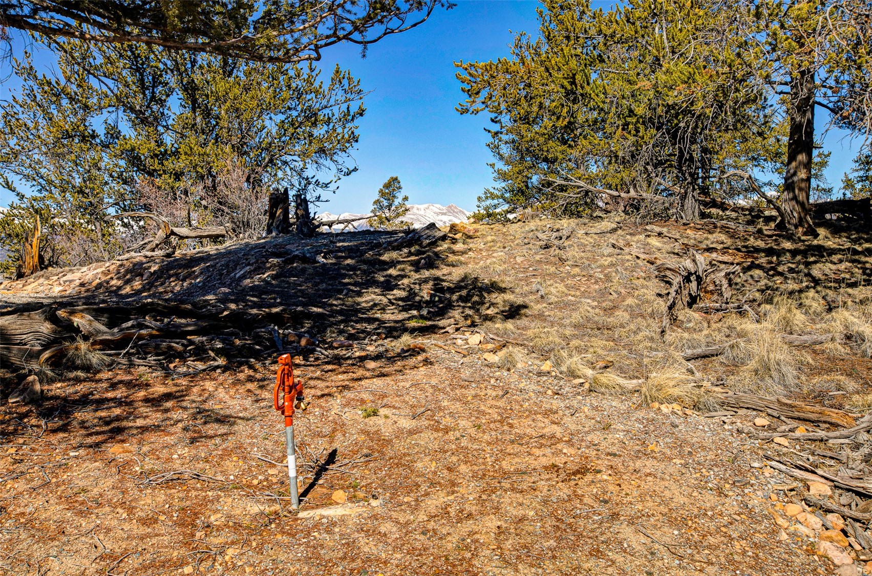 4765 Middle Fork Vista Property Photo 10