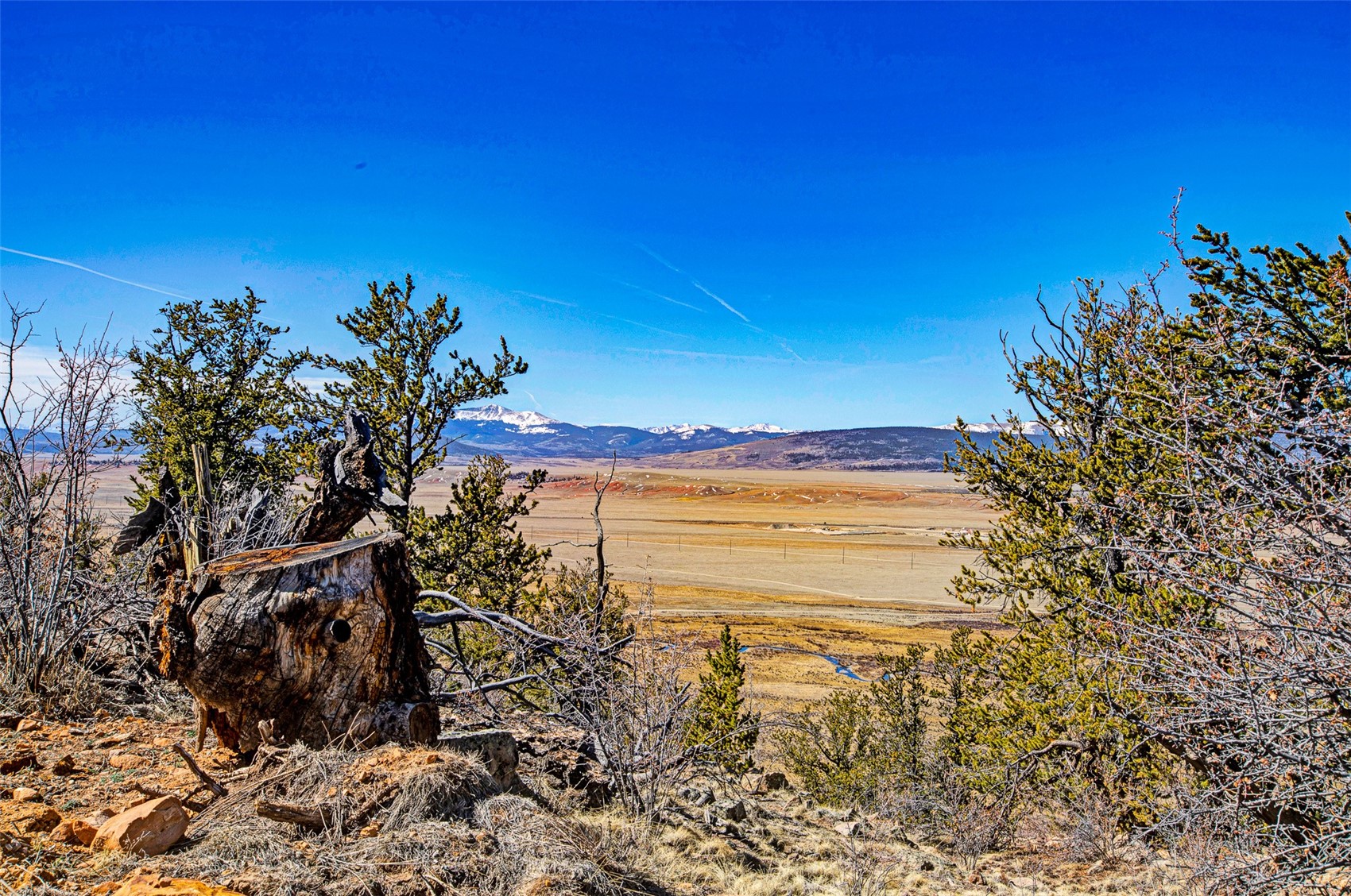 4765 Middle Fork Vista Property Photo 12