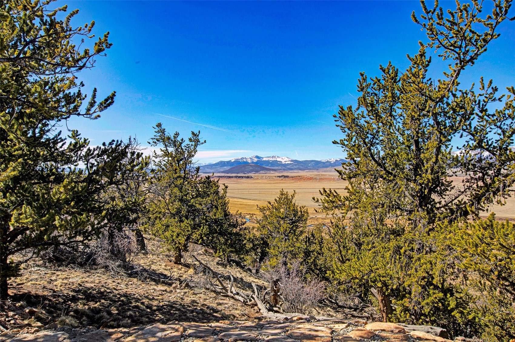 4765 Middle Fork Vista Property Photo 15