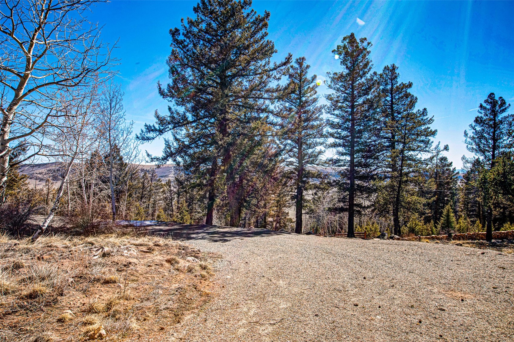 4765 Middle Fork Vista Property Photo 16