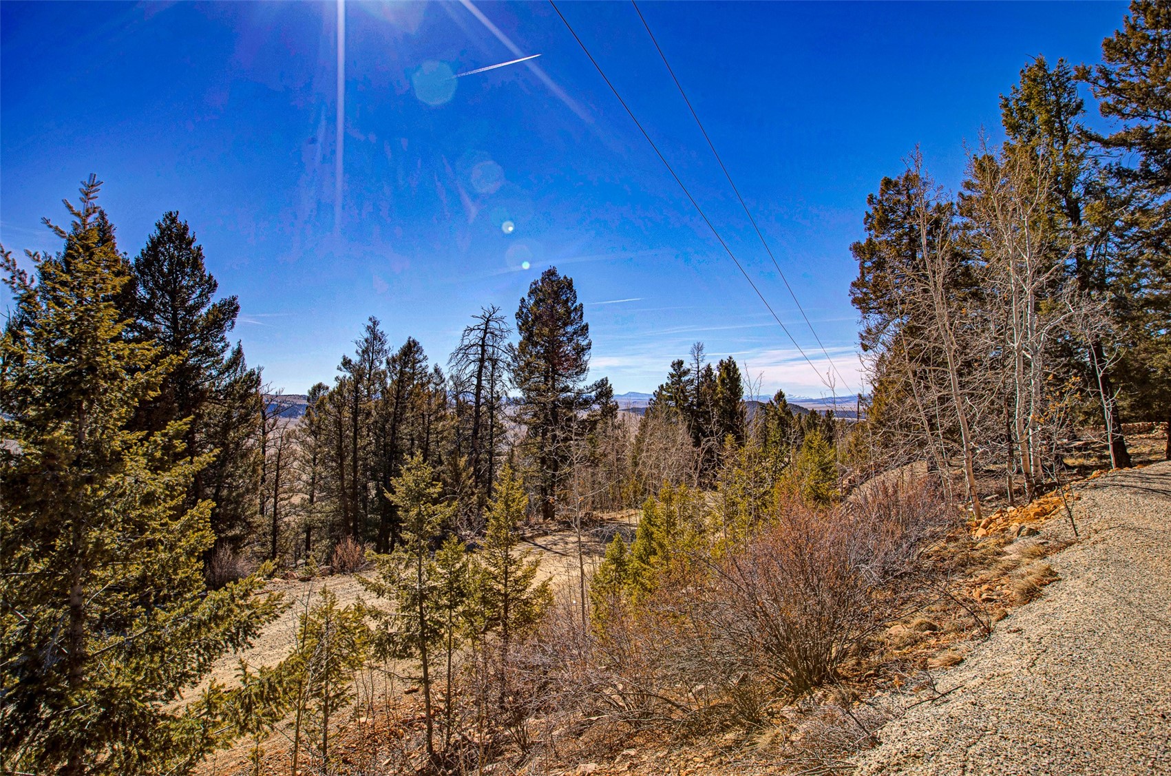 4765 Middle Fork Vista Property Photo 26