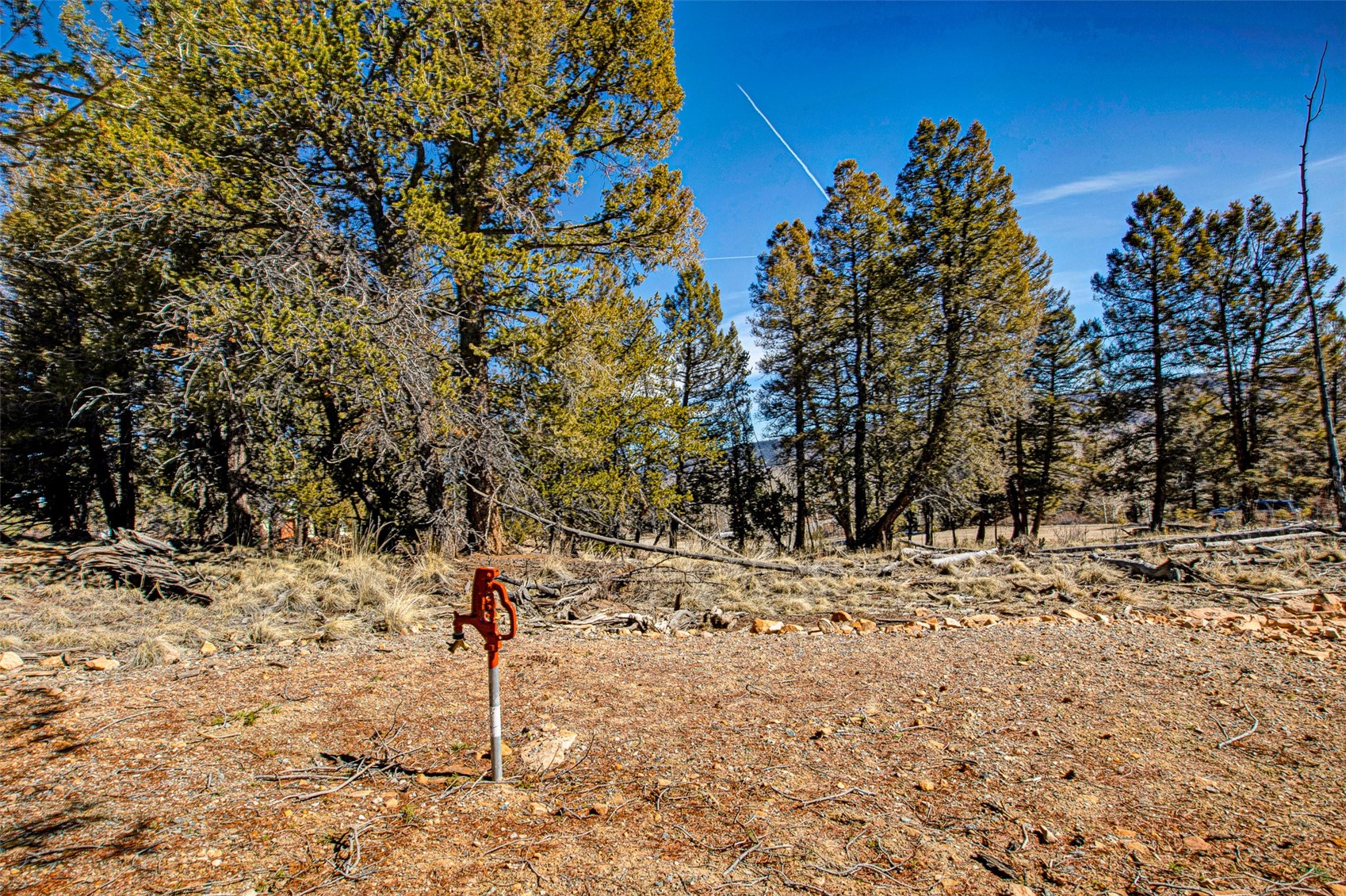 4765 Middle Fork Vista Property Photo 28