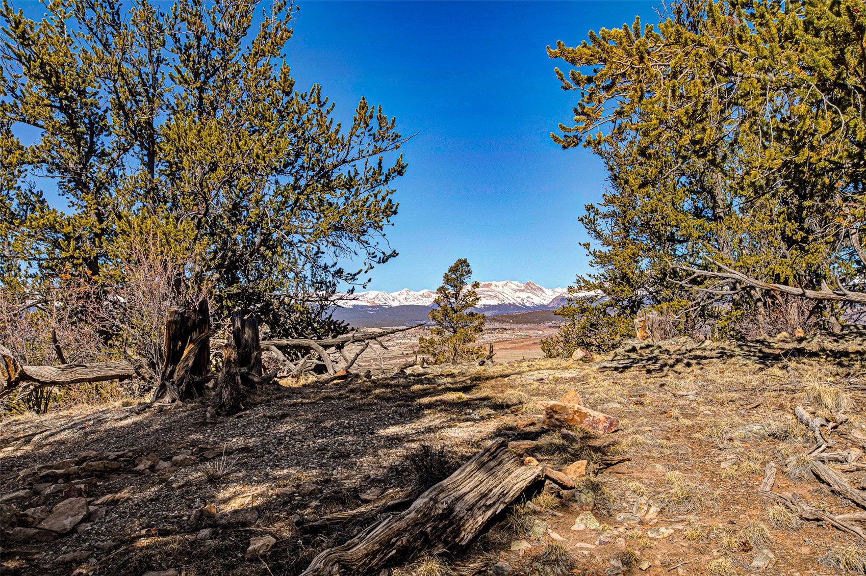 4765 Middle Fork Vista Property Photo 29