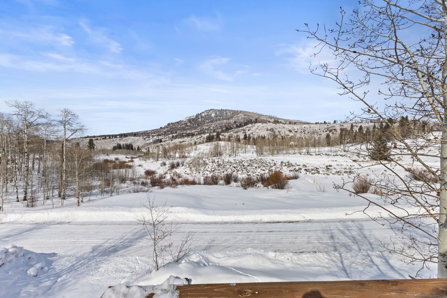32596 Ute Trail Property Photo 30