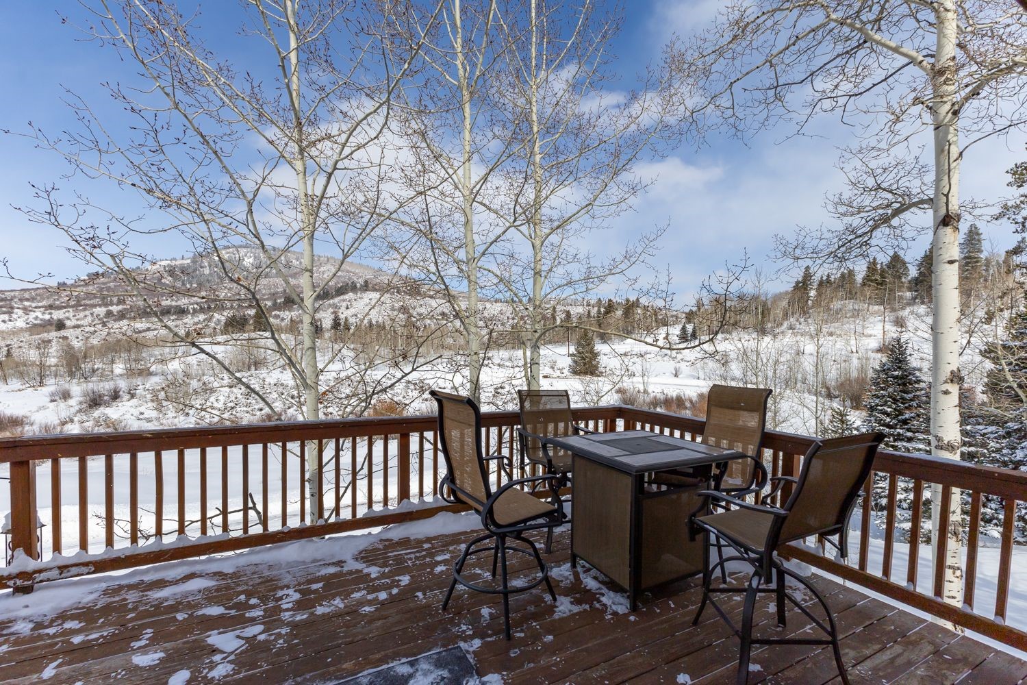 32596 Ute Trail Property Photo 31