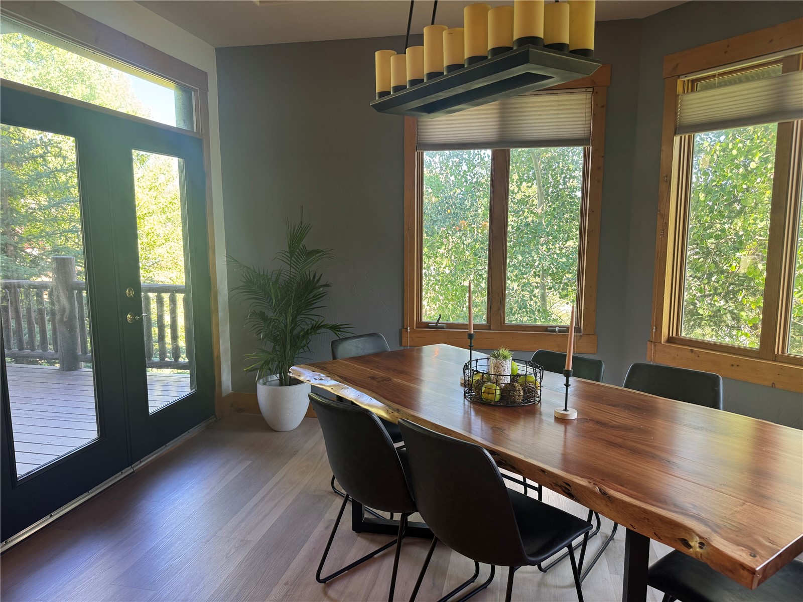 60 Shane Court Property Photo 10