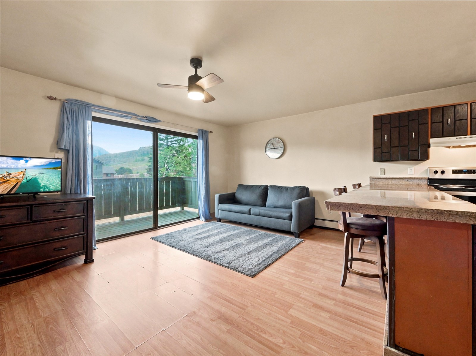 833 Straight Creek Drive 202 Property Photo 4