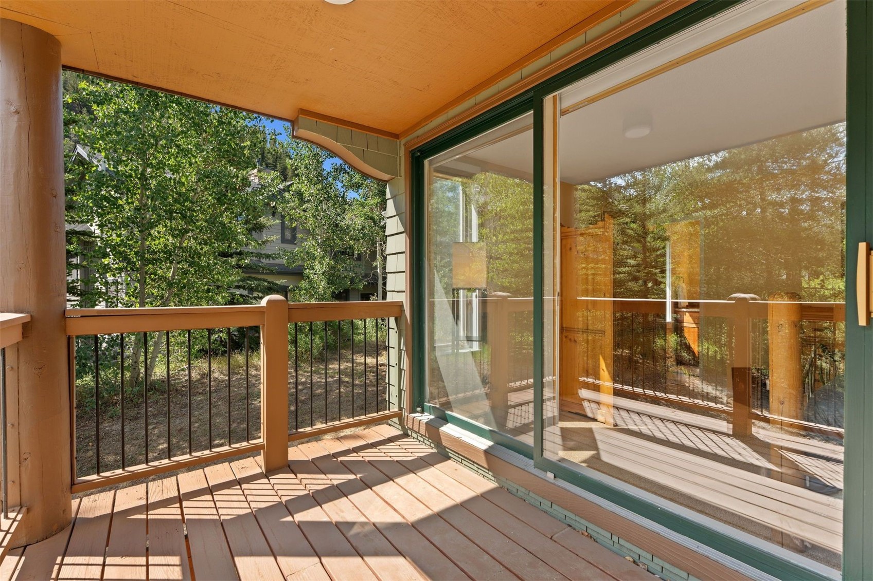 402 Wild Irishman Road 1916 Property Photo 25