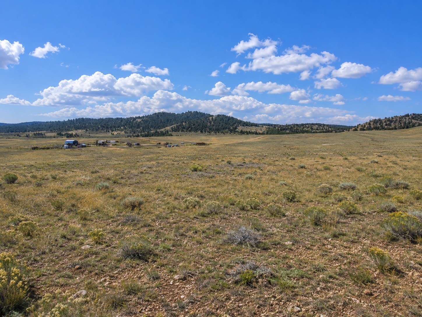 6298 Elkhorn Road Property Photo 9