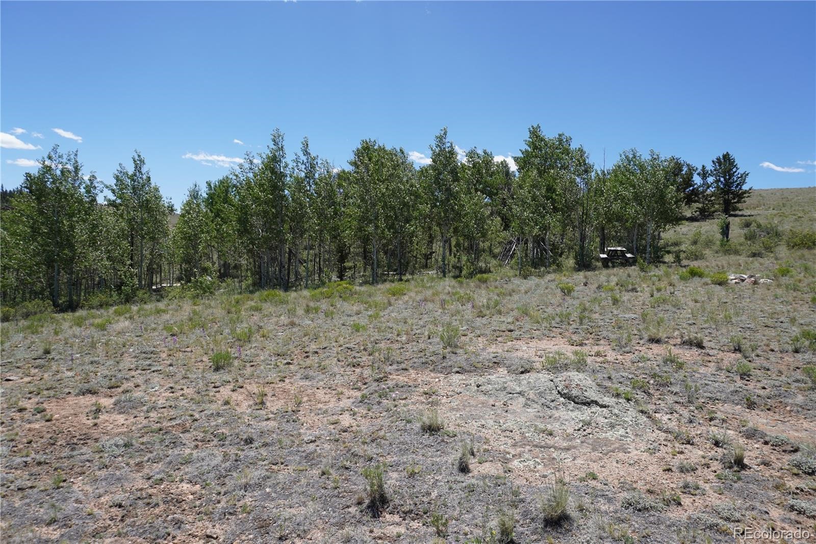 620 Arland Road Property Photo 4