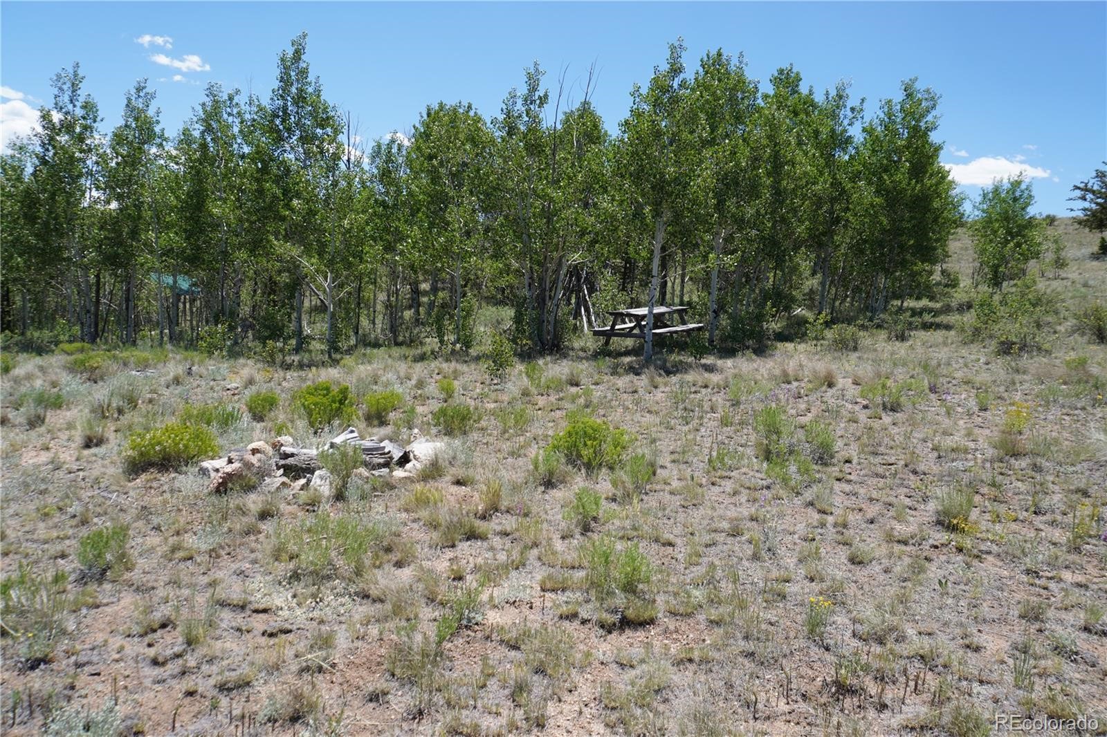 620 Arland Road Property Photo 8