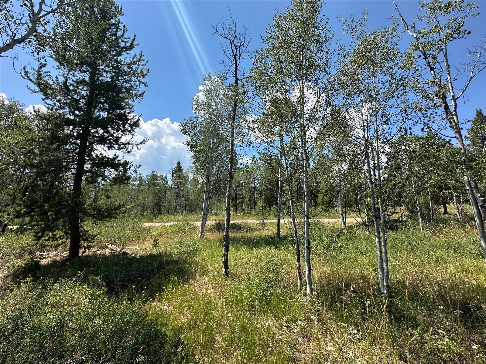 20810 Filly Trail Property Photo 4