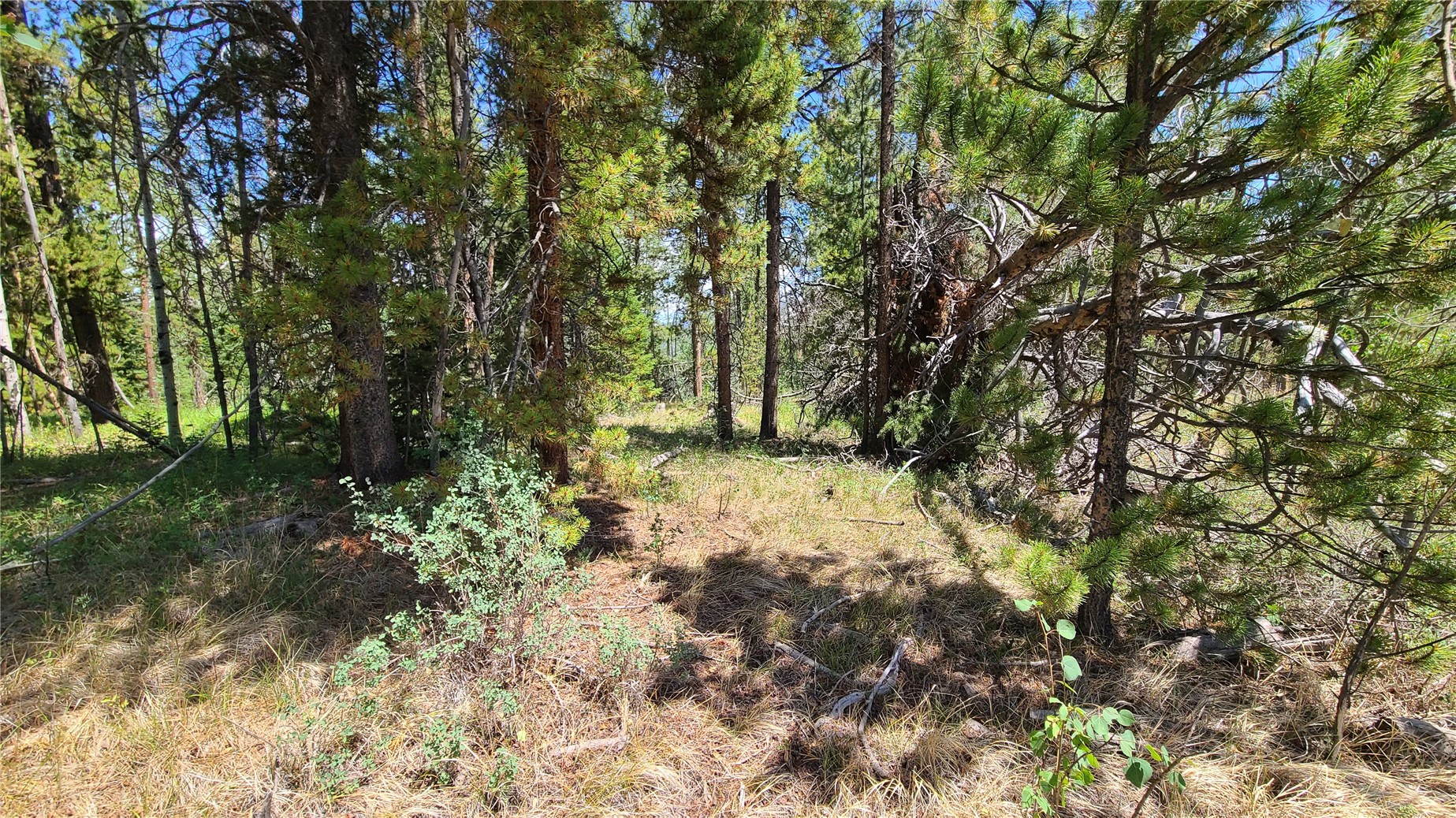 20810 Filly Trail Property Photo 5