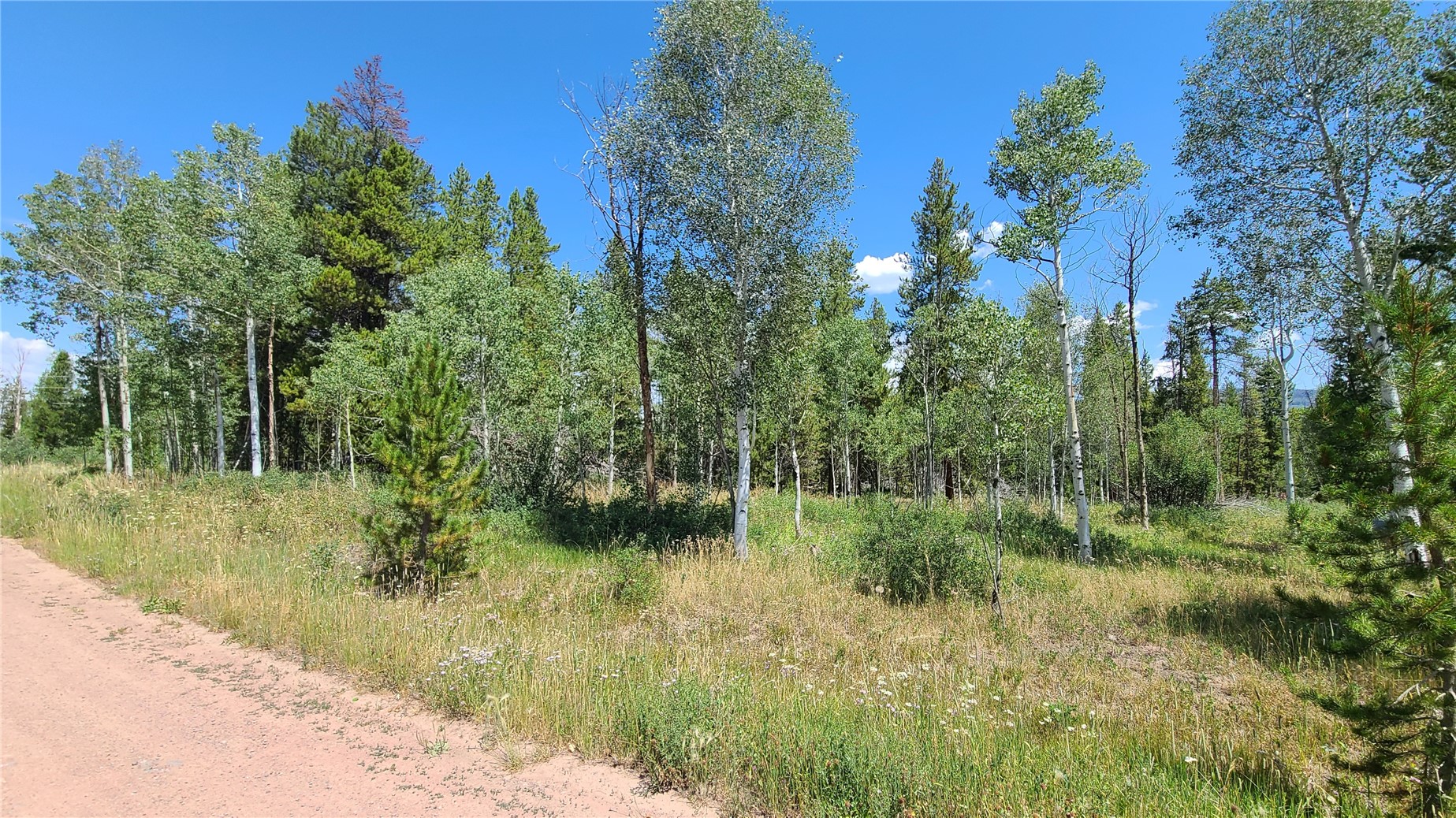 20810 Filly Trail Property Photo 6