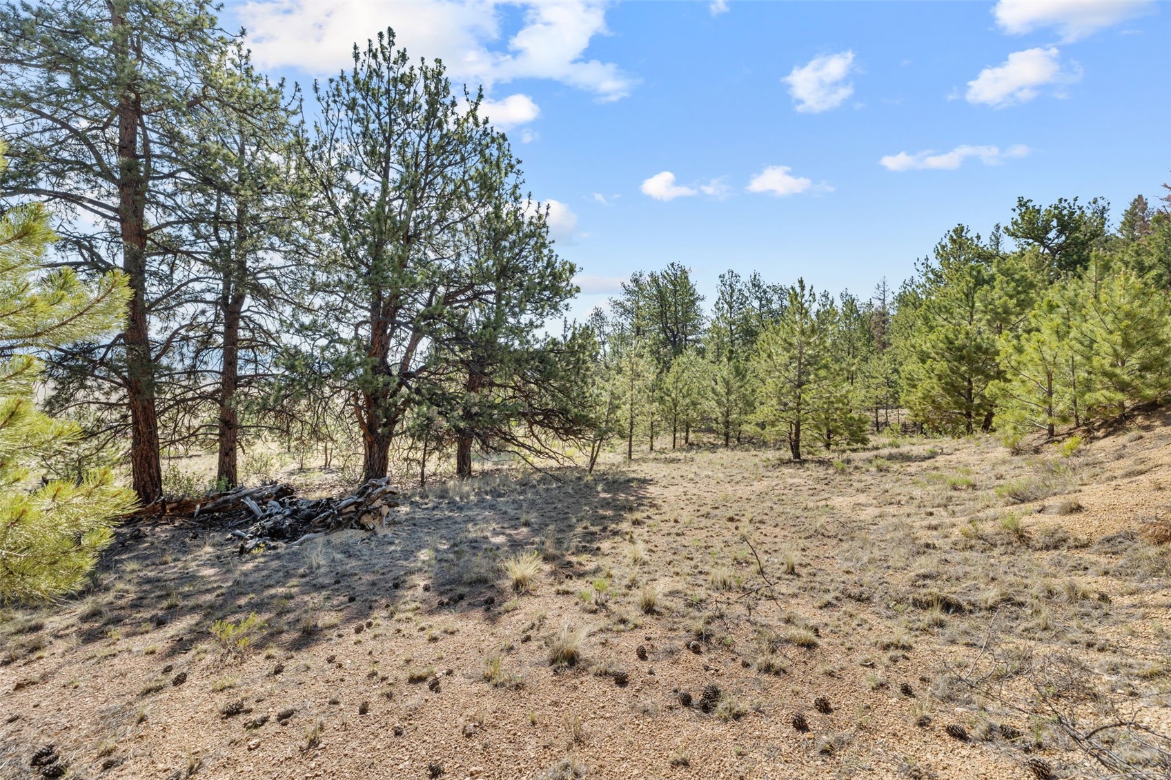 2120 Oxford Drive Property Photo 20