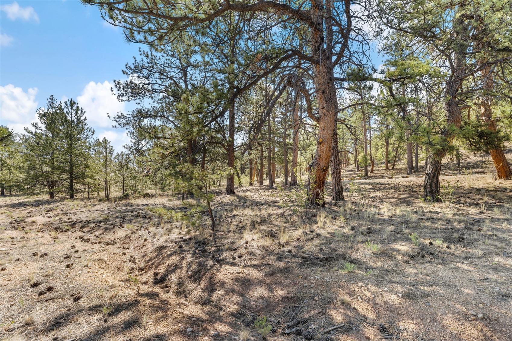 2120 Oxford Drive Property Photo 21