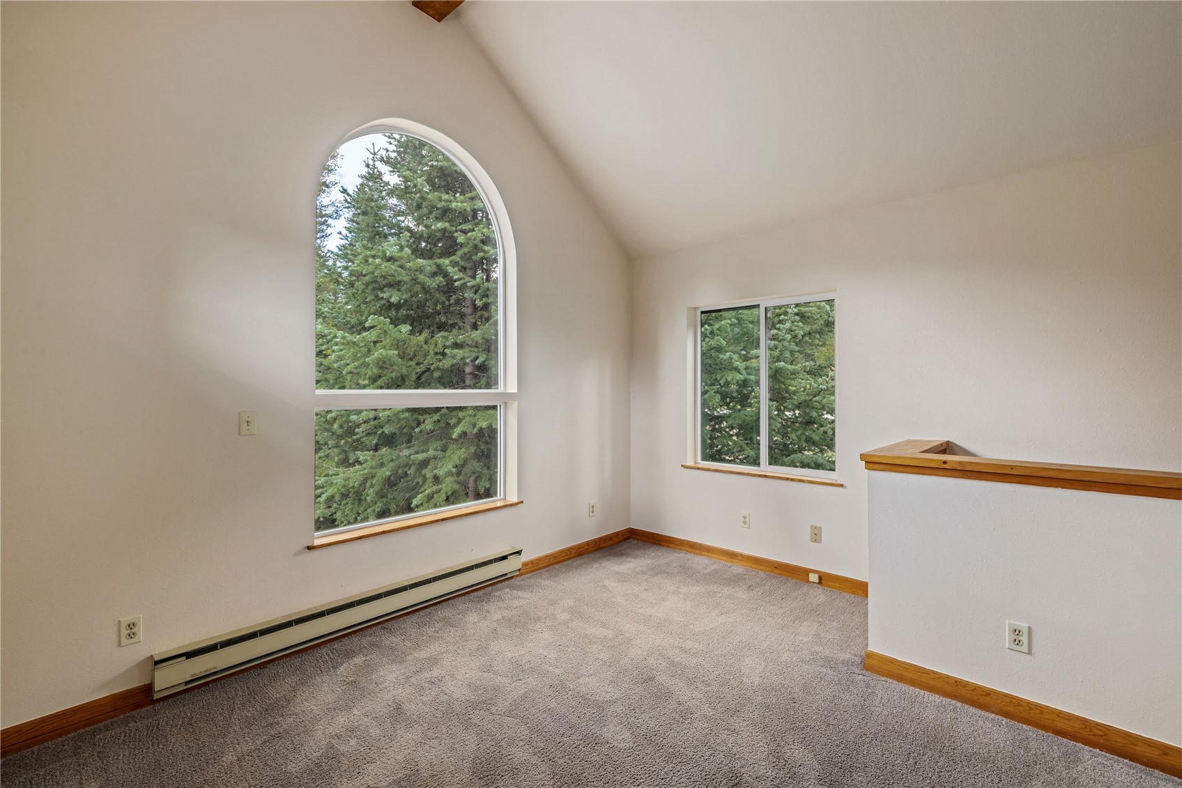 17 Blue Grouse Trail Property Photo 19