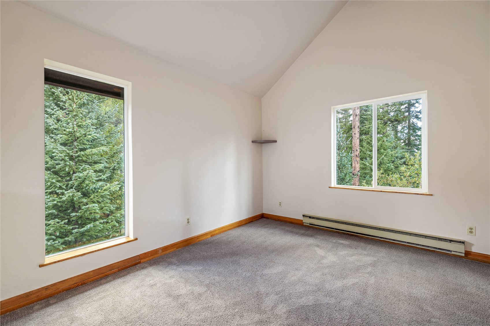 17 Blue Grouse Trail Property Photo 20