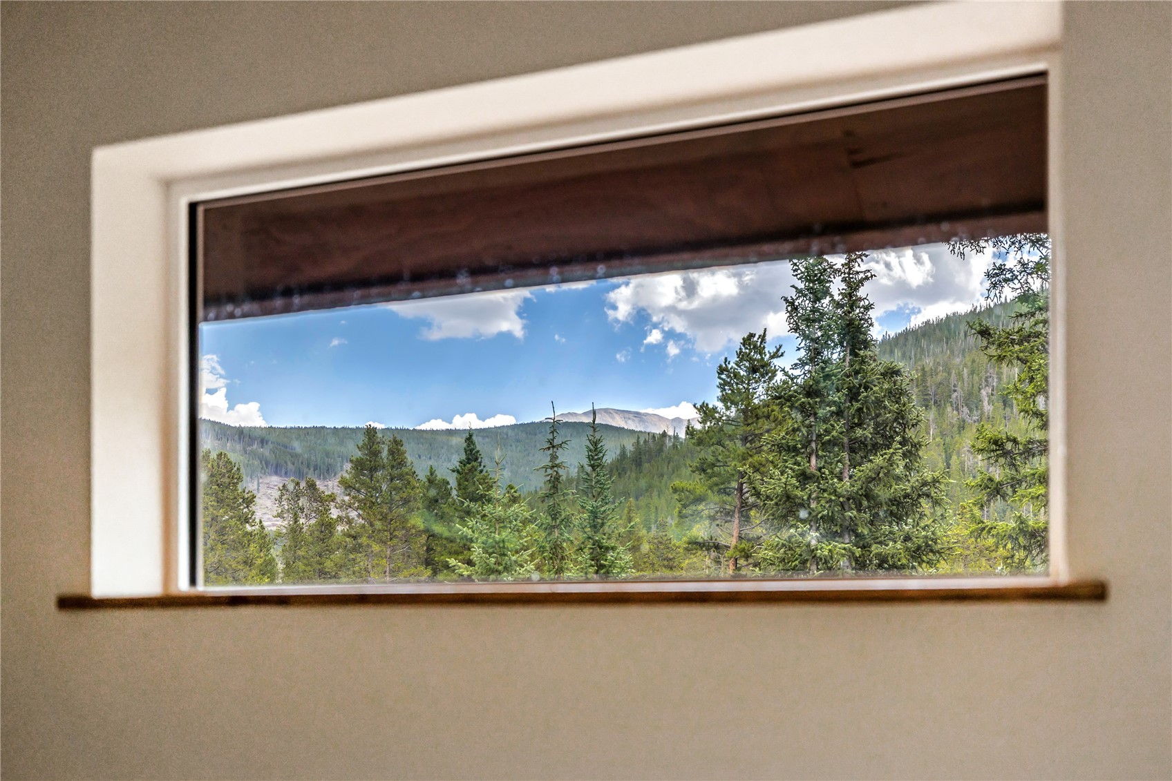 17 Blue Grouse Trail Property Photo 21