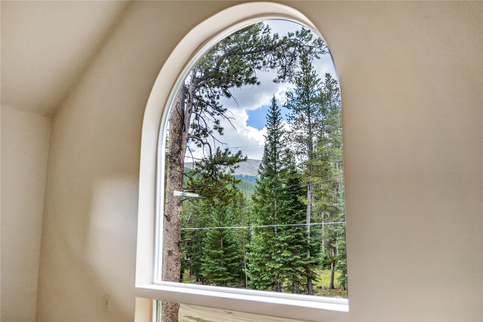 17 Blue Grouse Trail Property Photo 22