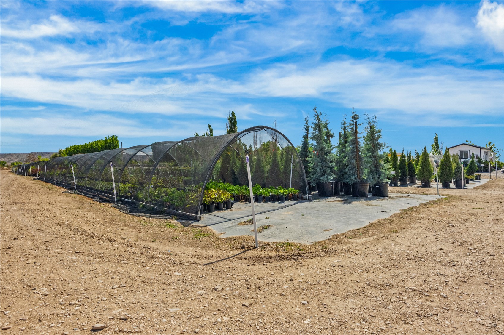 1702 10 Road Property Photo 6