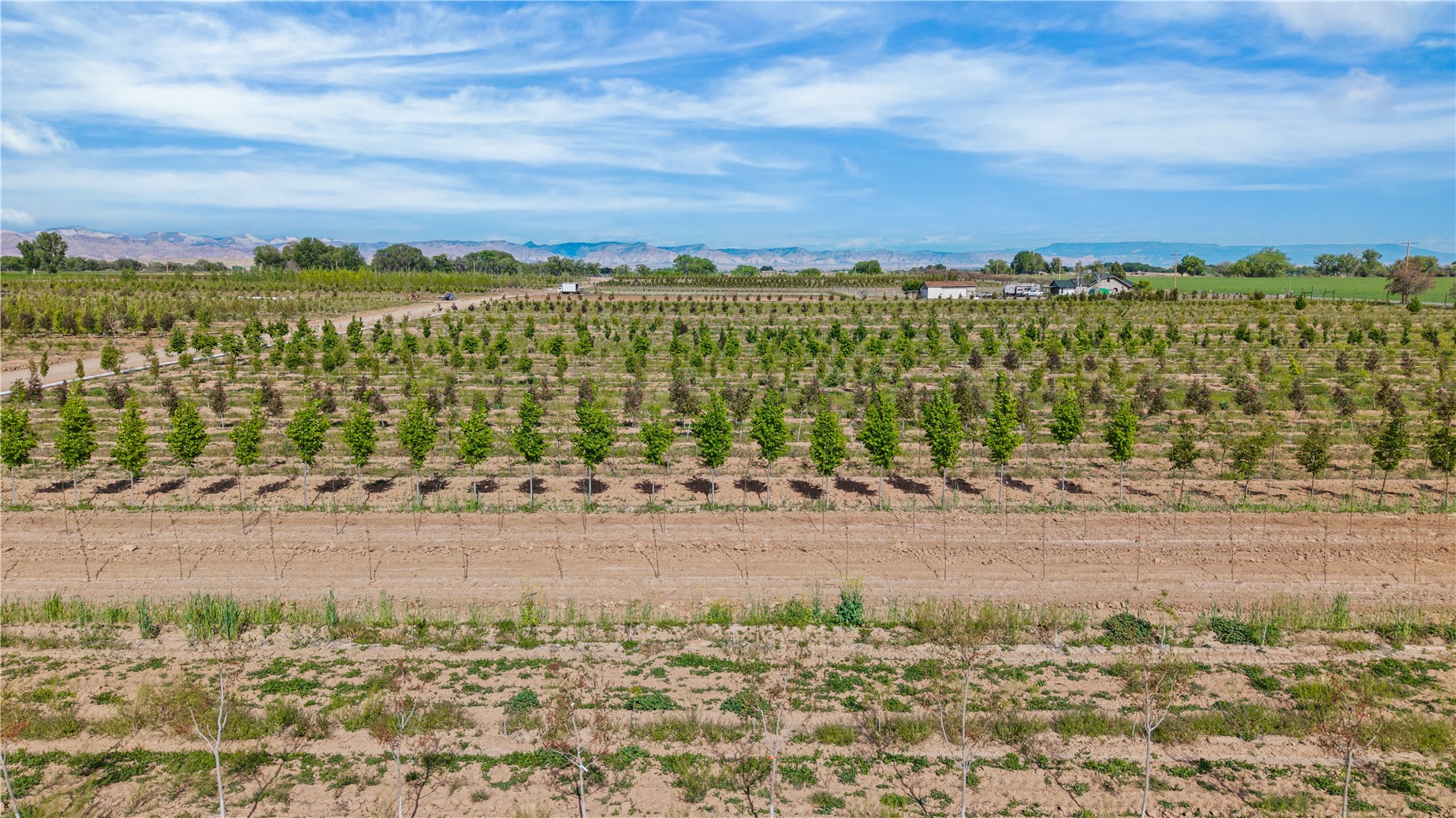 1702 10 Road Property Photo 20