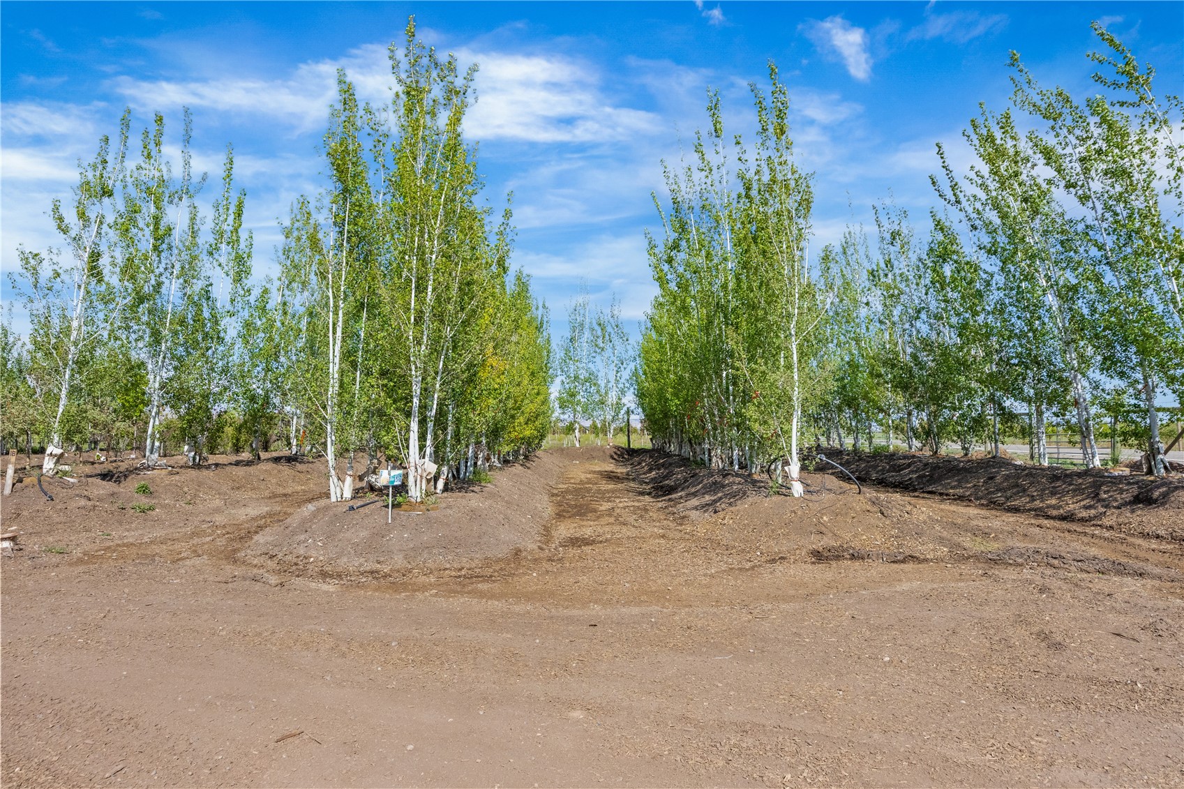 1702 10 Road Property Photo 26
