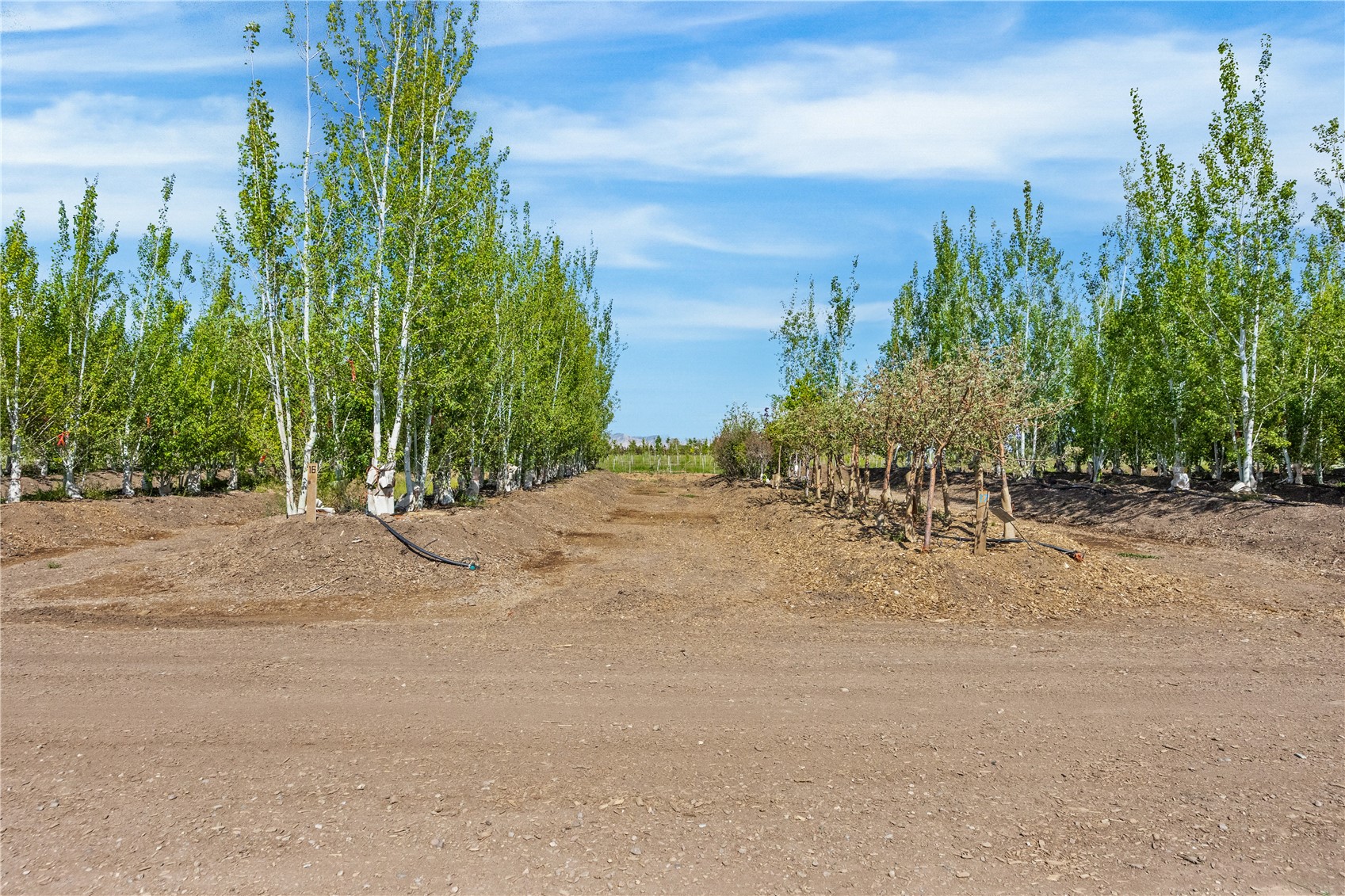 1702 10 Road Property Photo 29