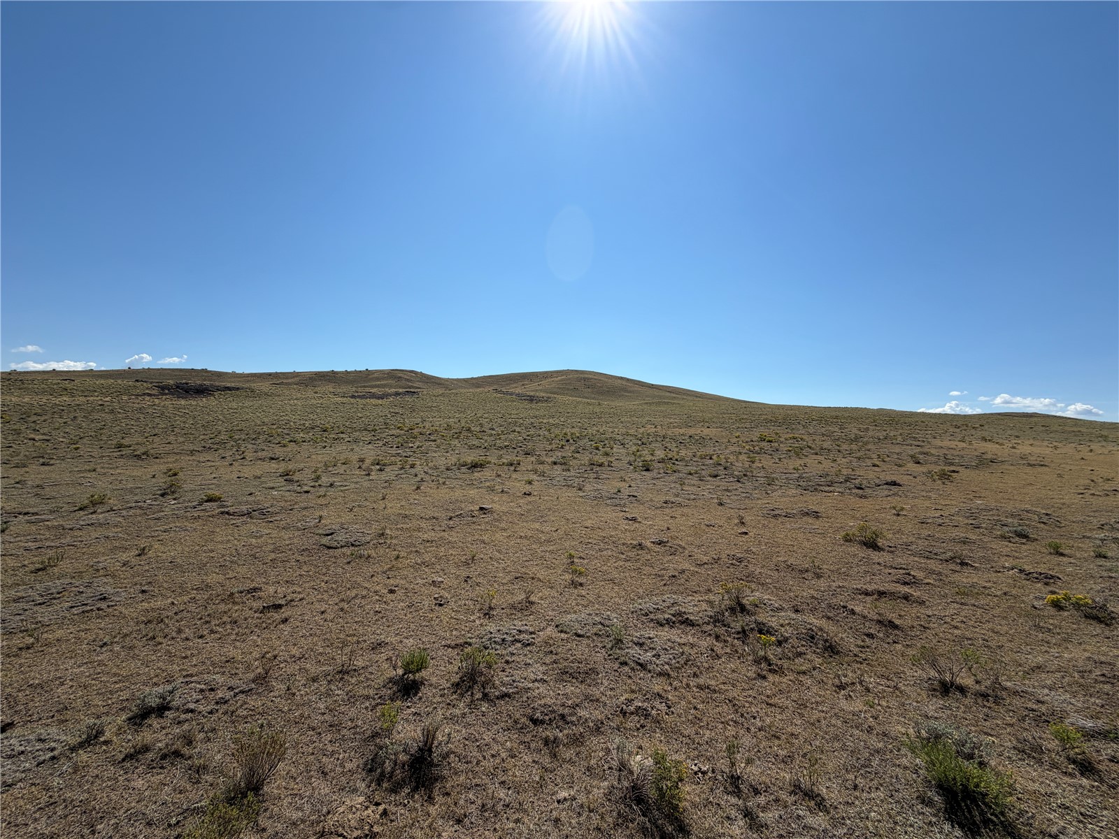 0 Cahokia Road Property Photo 4