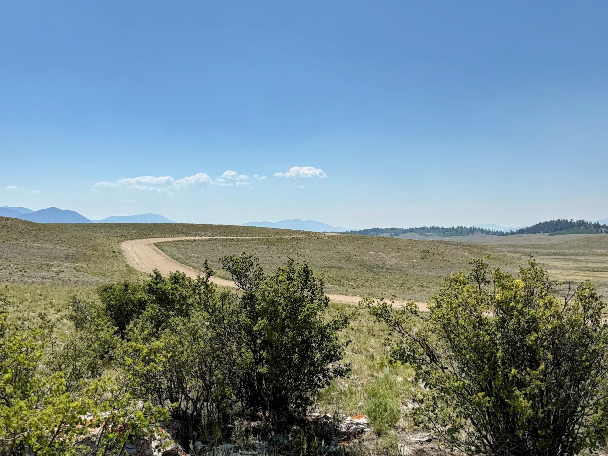 609 Commanche Trail Property Photo 3