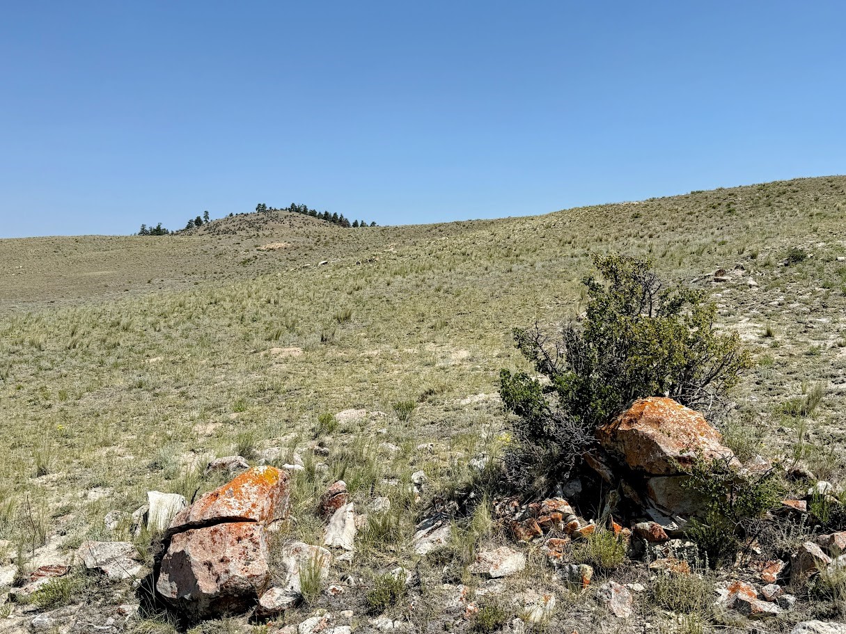 609 Commanche Trail Property Photo 4