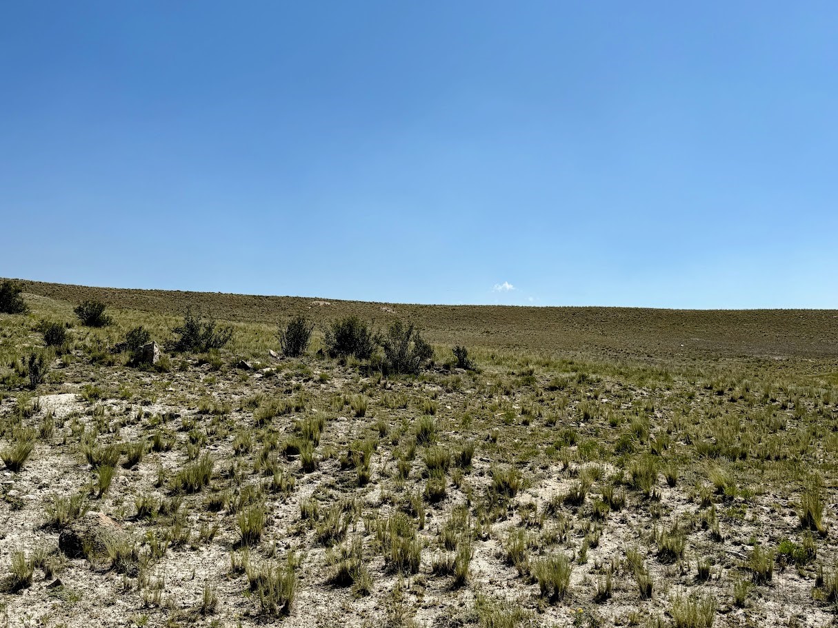 609 Commanche Trail Property Photo 5