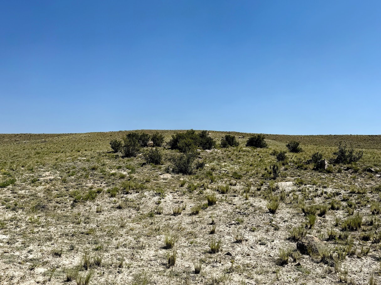 609 Commanche Trail Property Photo 6